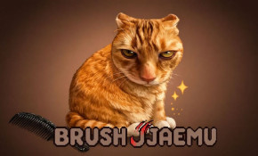 Brush Jjaemu