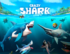 Crazy Shark