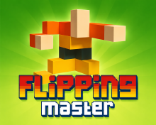 Flipping Master
