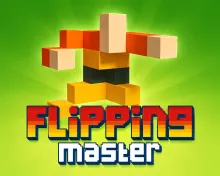 /data/image/game/flipping-master1.png