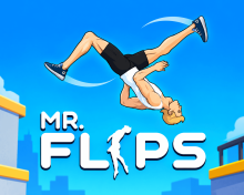 Mr Flip