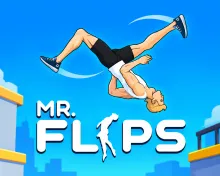 /data/image/game/mr-flip.png