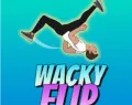 /data/image/game/wacky-flip.png
